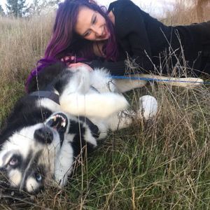 Meet your Posher, Sami